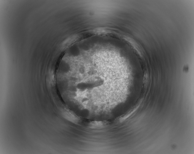 X0000100970381200807151357