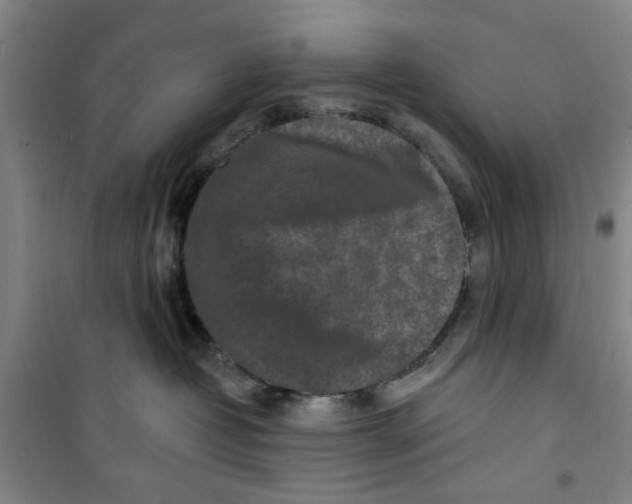 X0000100970382200807151357