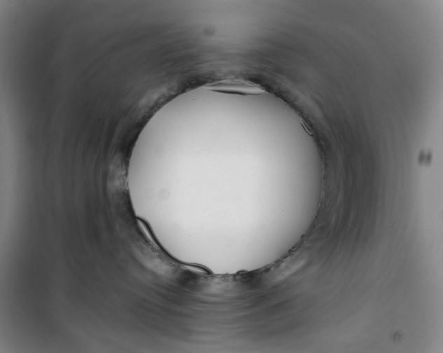 X0000100970384200807151357