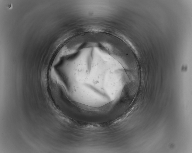 X0000100970386200807151357