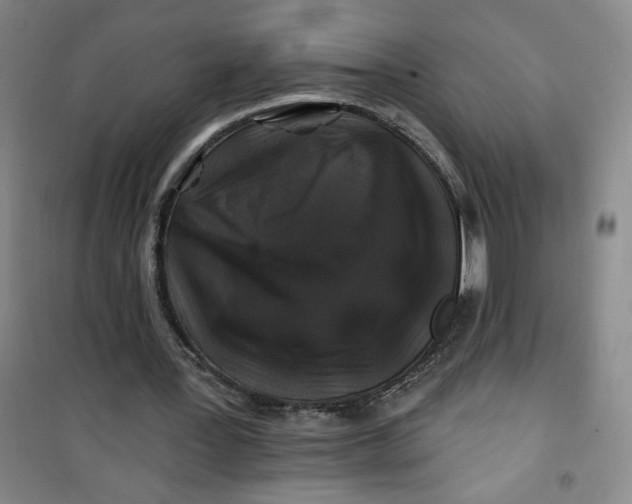 X0000100970387200807151356