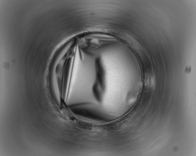 X0000100970388200807151356