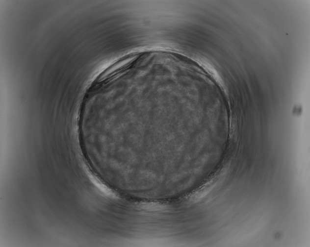 X0000100970389200807151356