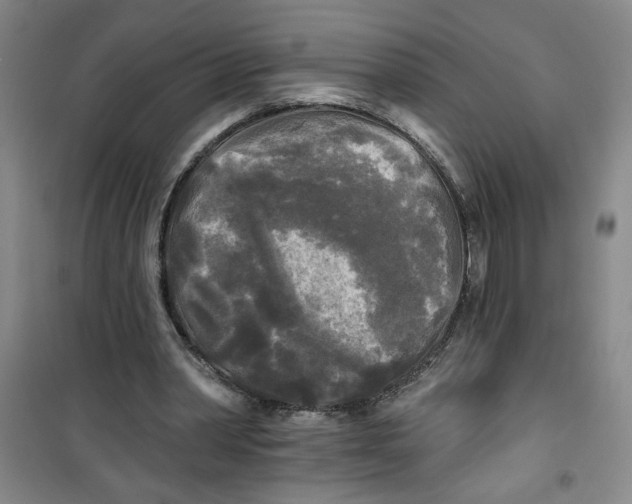 X0000100970390200807151356
