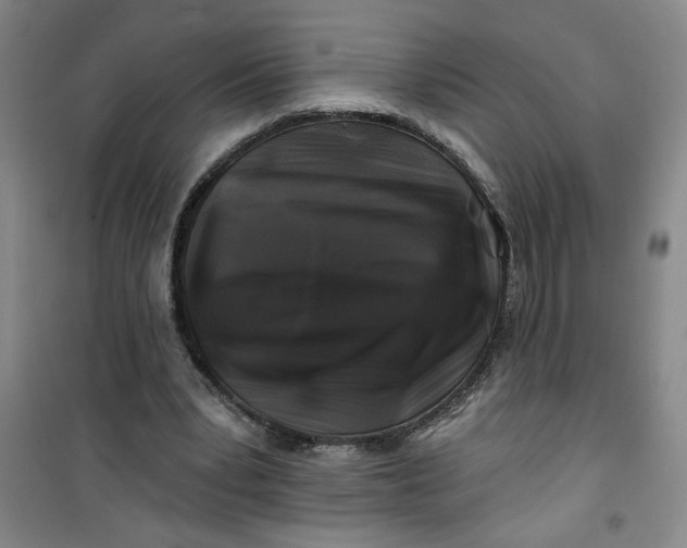 X0000100970391200807151356