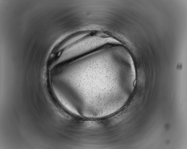 X0000100970392200807151356