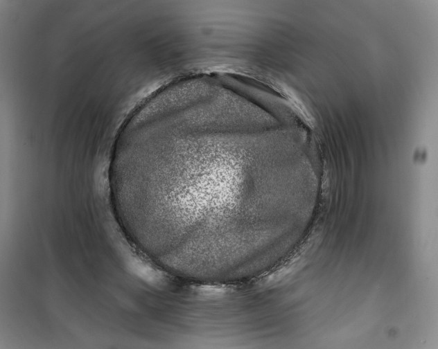 X0000100970394200807151356