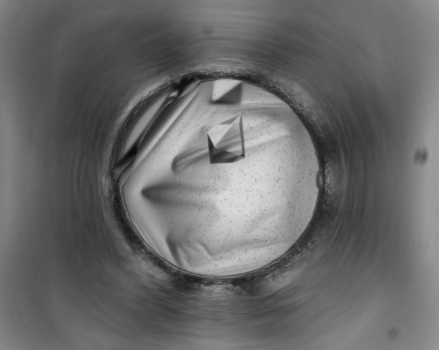 X0000100970396200807151356