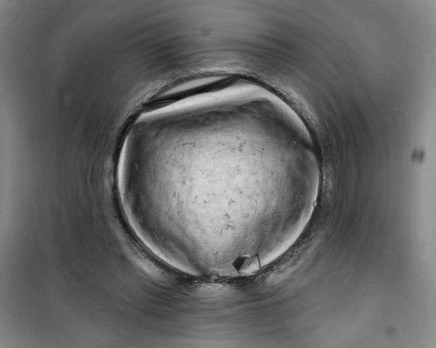X0000100970397200807151356
