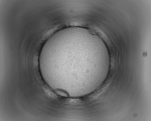 X0000100970401200807151356