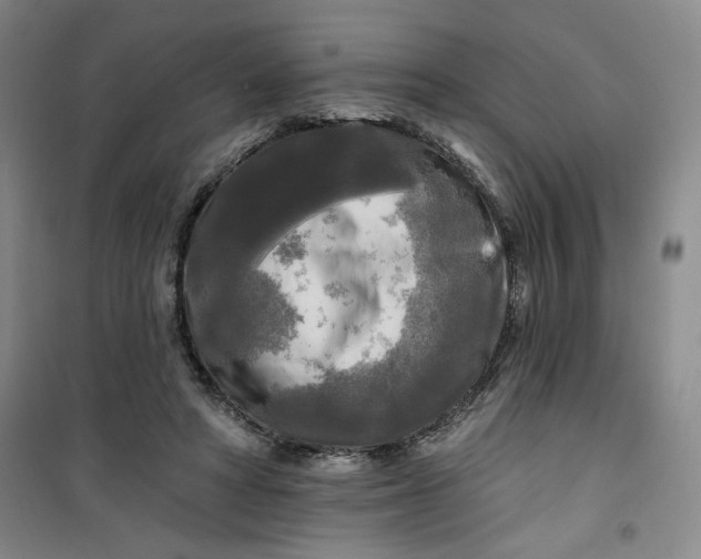 X0000100970402200807151356