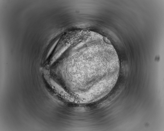 X0000100970404200807151356