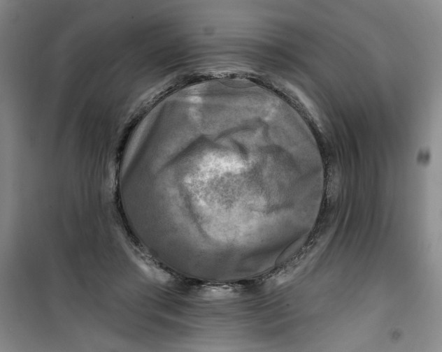 X0000100970405200807151356