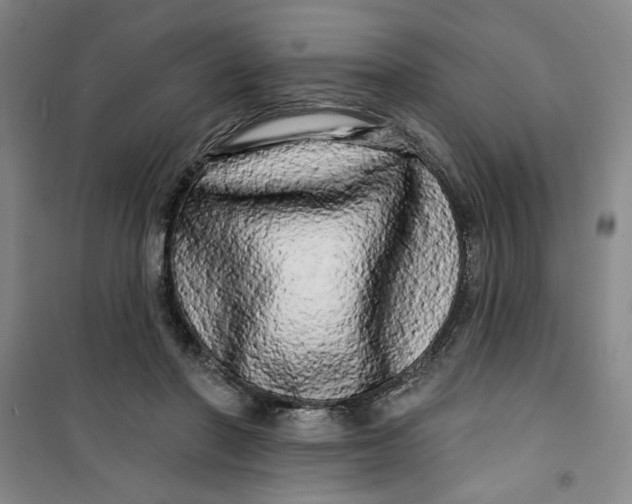 X0000100970406200807151356