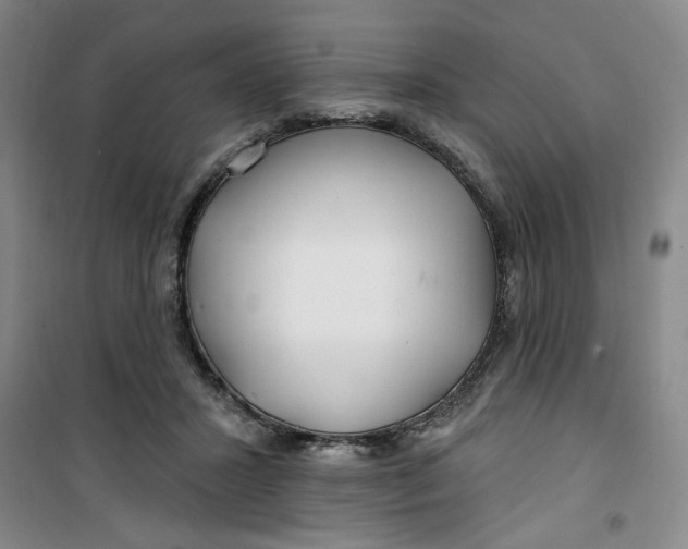 X0000100970407200807151356