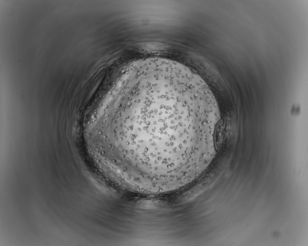 X0000100970408200807151356