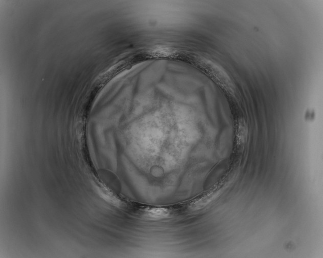 X0000100970409200807151356