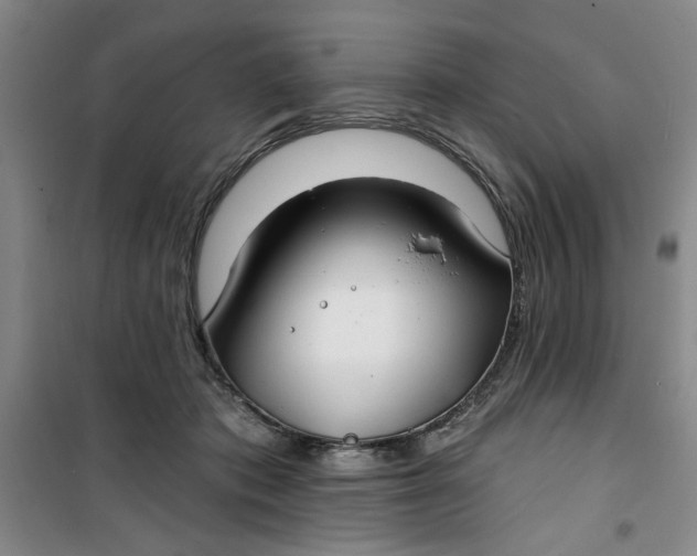 X0000100970413200807151356
