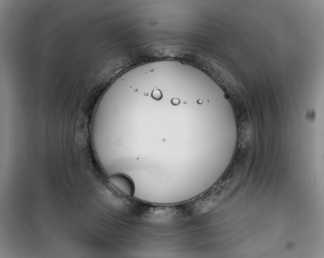 X0000100970414200807151356
