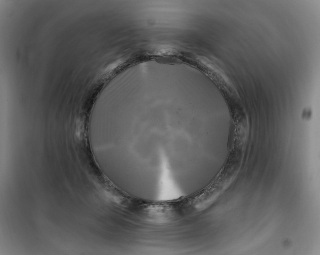 X0000100970415200807151356