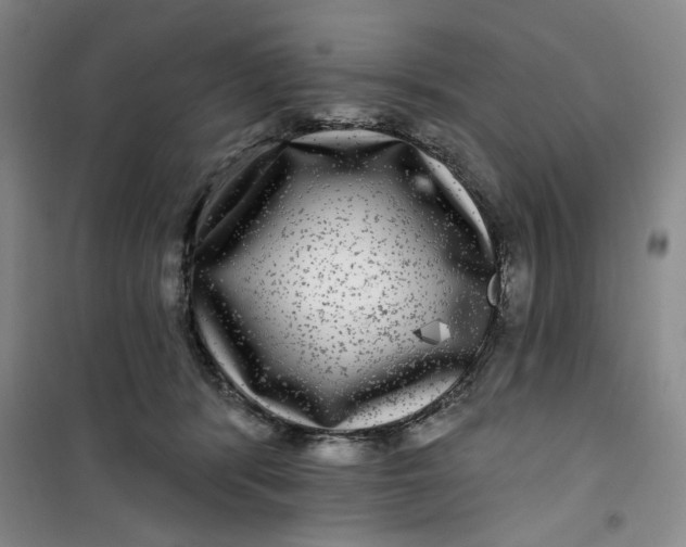 X0000100970416200807151356