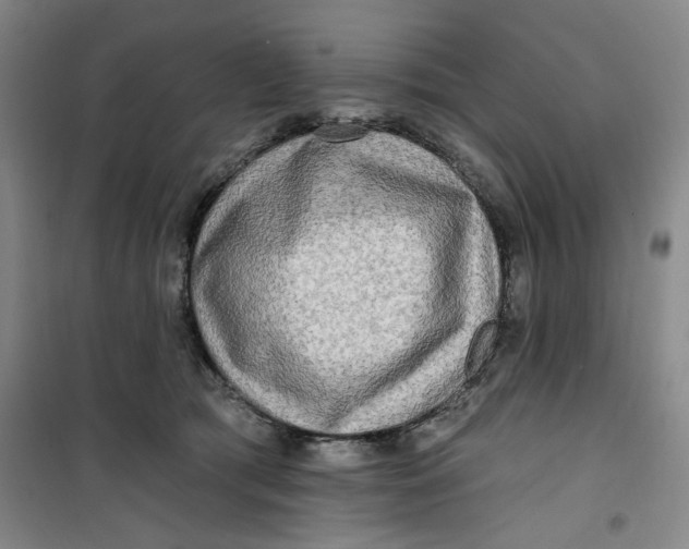 X0000100970417200807151356