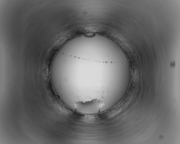 X0000100970418200807151356