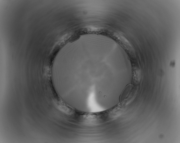 X0000100970419200807151356