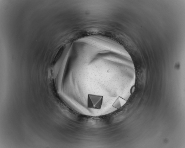 X0000100970420200807151356