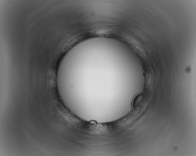 X0000100970421200807151356