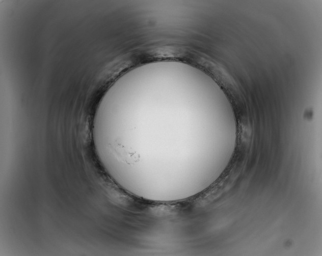 X0000100970422200807151356