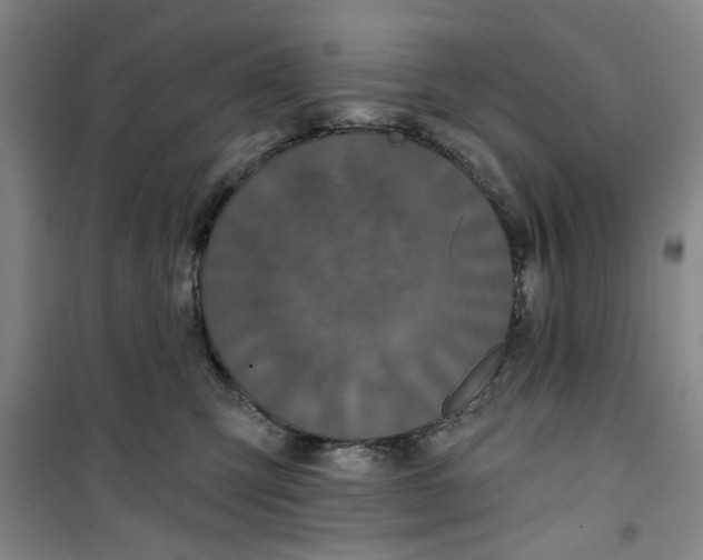 X0000100970423200807151356
