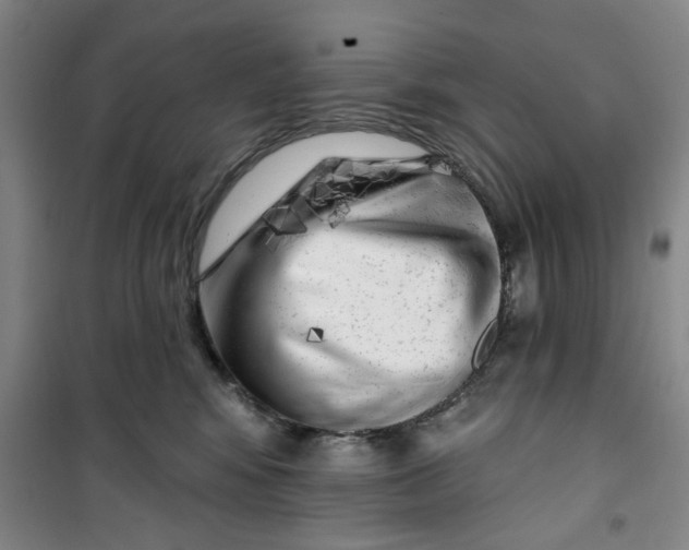 X0000100970424200807151356