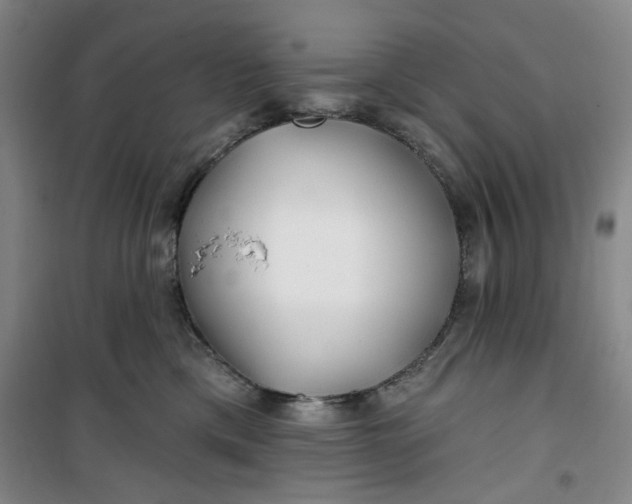 X0000100970425200807151356