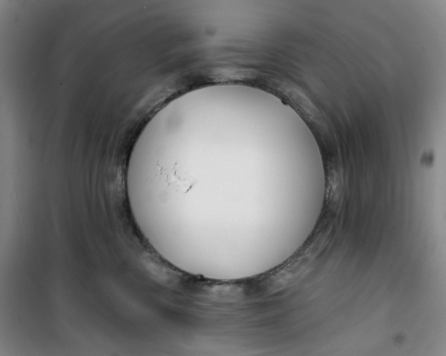 X0000100970426200807151356
