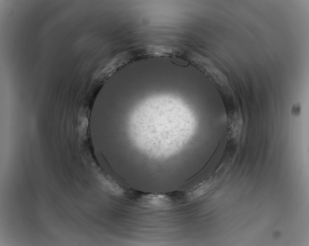 X0000100970427200807151356