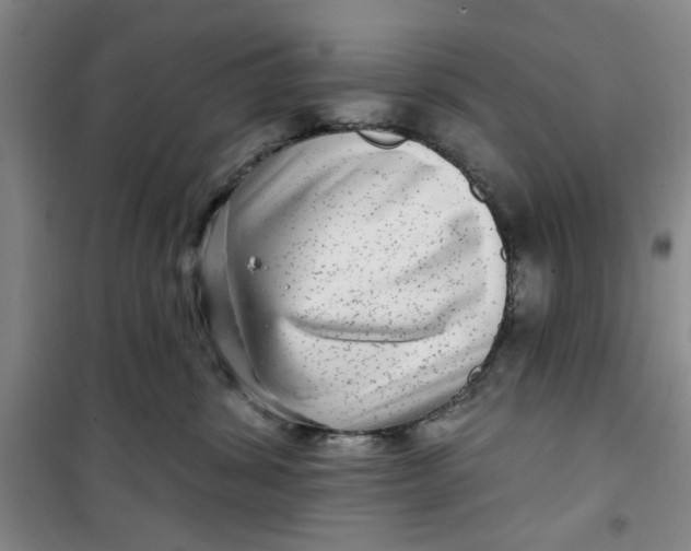 X0000100970428200807151356