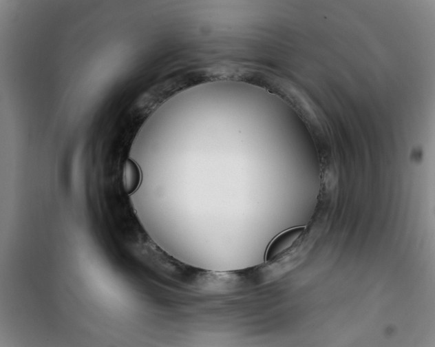 X0000100970429200807151356