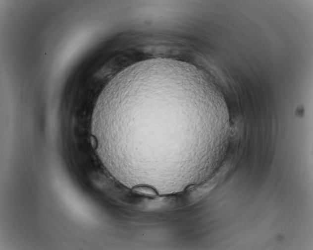 X0000100970430200807151356
