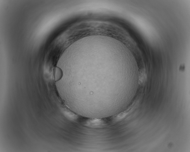 X0000100970431200807151356
