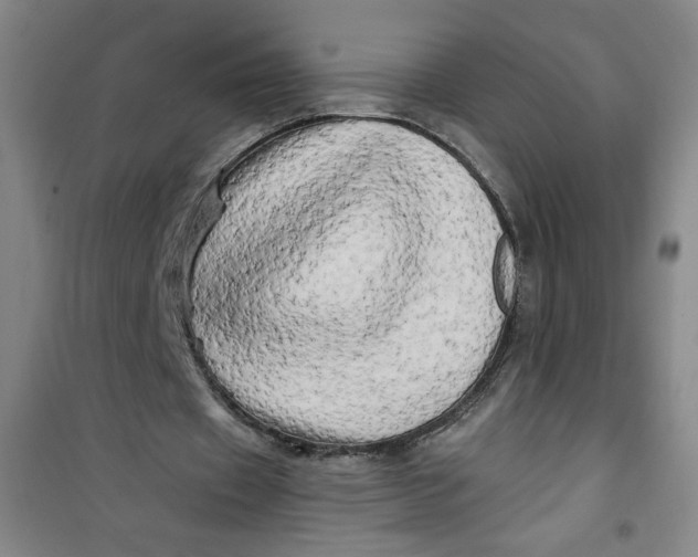 X0000100970433200807151355