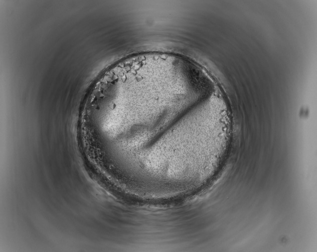 X0000100970434200807151355