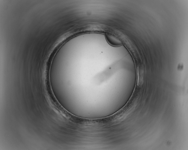 X0000100970435200807151355