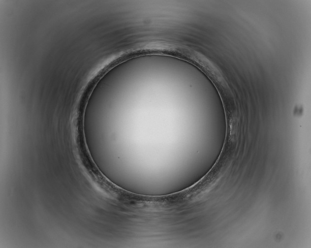 X0000100970436200807151355