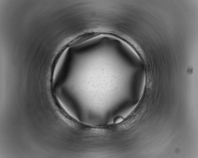 X0000100970437200807151355