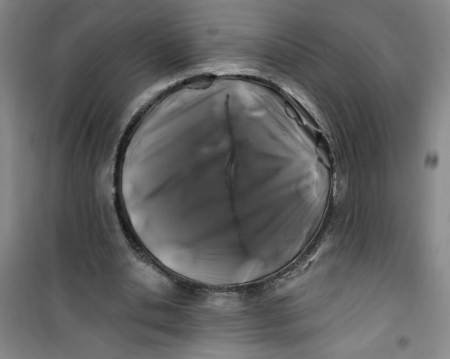 X0000100970438200807151355