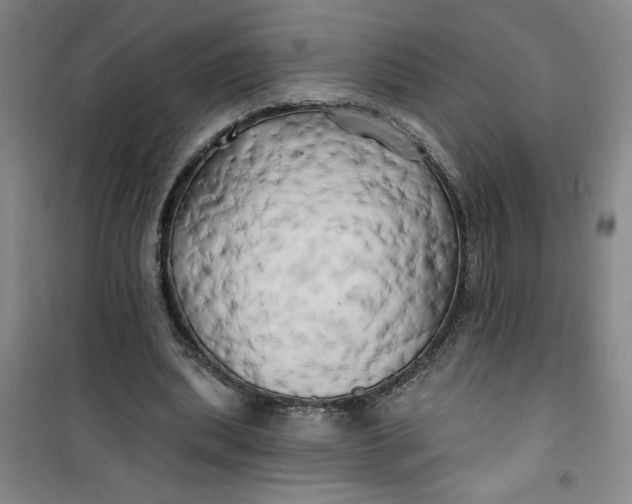 X0000100970439200807151355