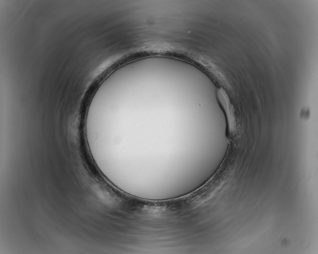 X0000100970440200807151355