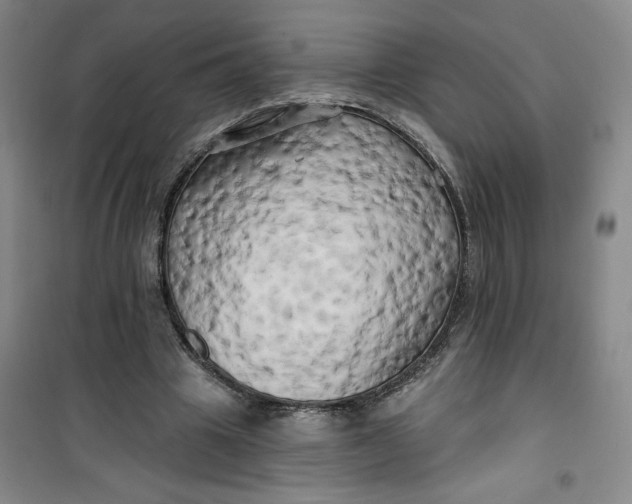 X0000100970441200807151355