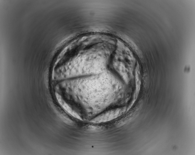 X0000100970442200807151355